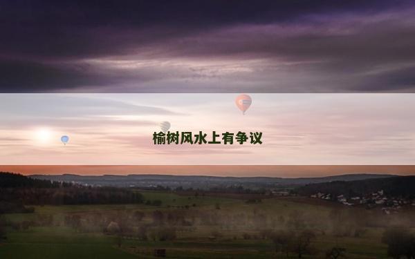 榆樹風水上有爭議