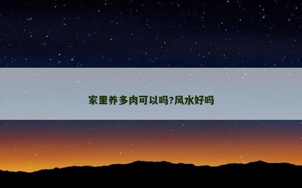 家里養多肉可以嗎?風水好嗎