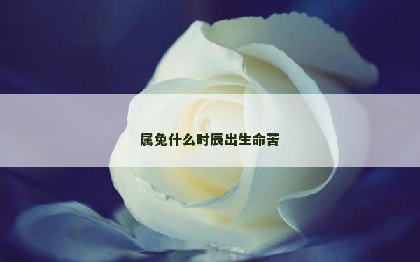 屬兔什么時辰出生命苦