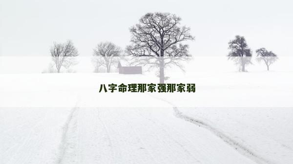 八字命理那家強那家弱
