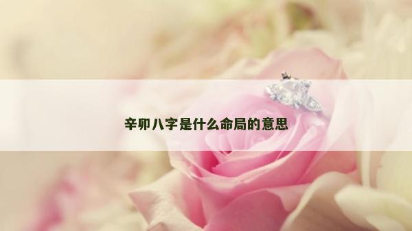 辛卯八字是什么命局的意思