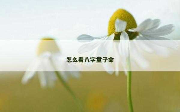 怎么看八字童子命