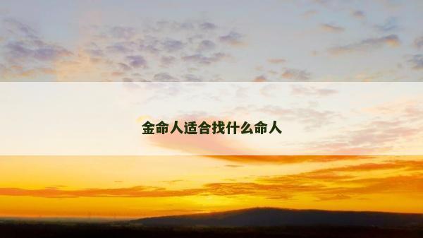 金命人適合找什么命人
