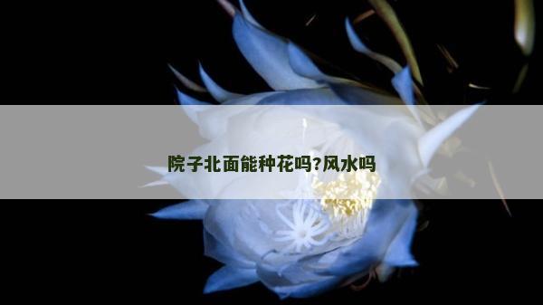 院子北面能種花嗎?風(fēng)水嗎