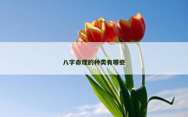 八字命理的種類有哪些