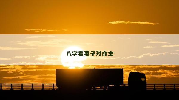 八字看妻子對命主
