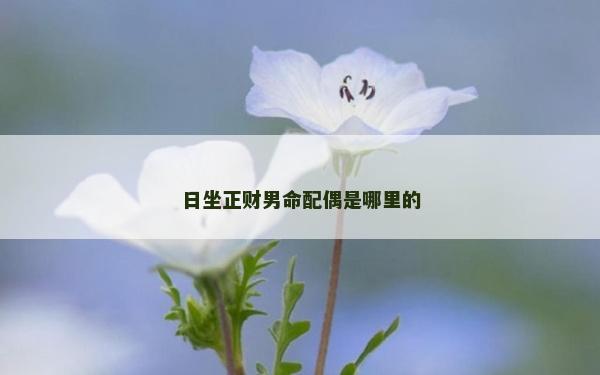 日坐正財(cái)男命配偶是哪里的 日坐正財(cái)男命配偶是哪里的