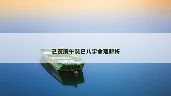 己亥庚午癸巳八字命理解析