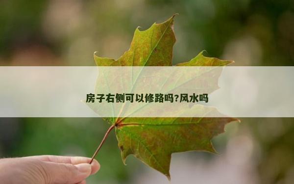 房子右側(cè)可以修路嗎?風(fēng)水嗎