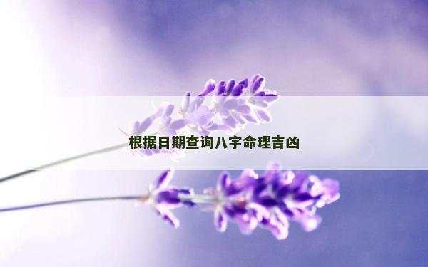 根據(jù)日期查詢八字命理吉兇