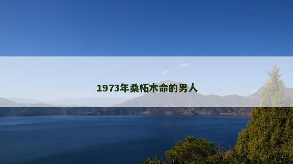1973年桑柘木命的男人