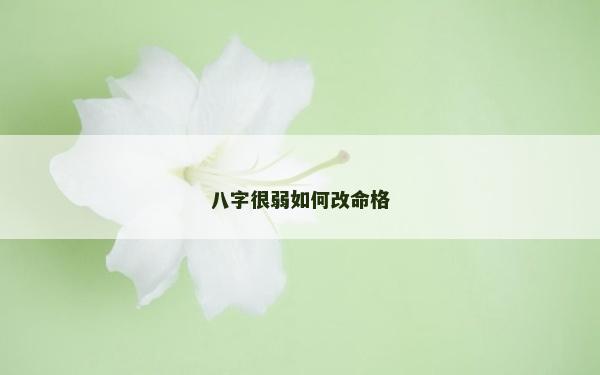 八字很弱如何改命格