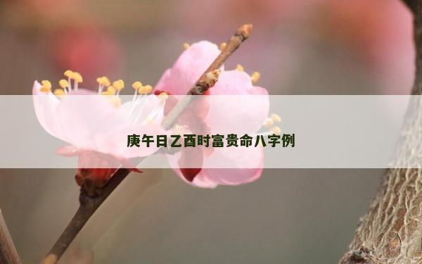 庚午日乙酉時富貴命八字例
