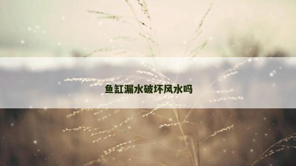 魚(yú)缸漏水破壞風(fēng)水嗎