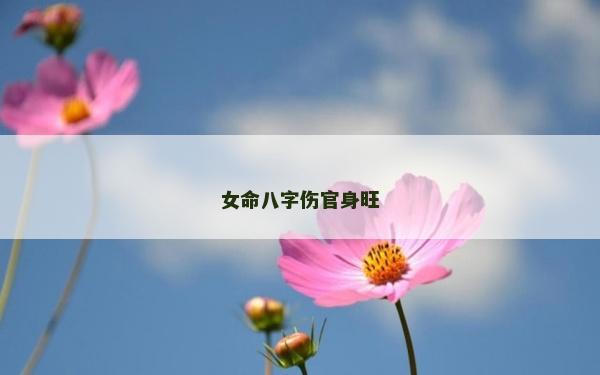 女命八字傷官身旺