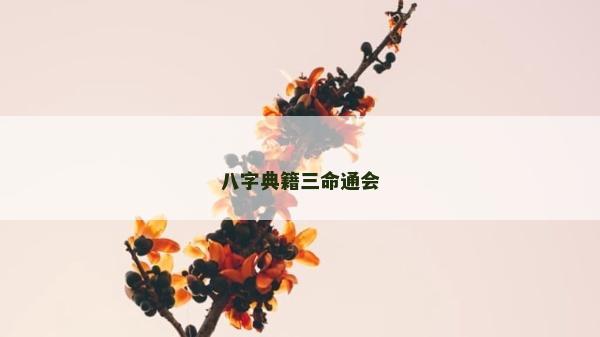 八字典籍三命通會(huì)