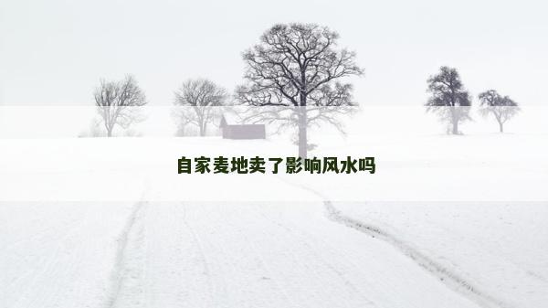 自家麥地賣了影響風水嗎