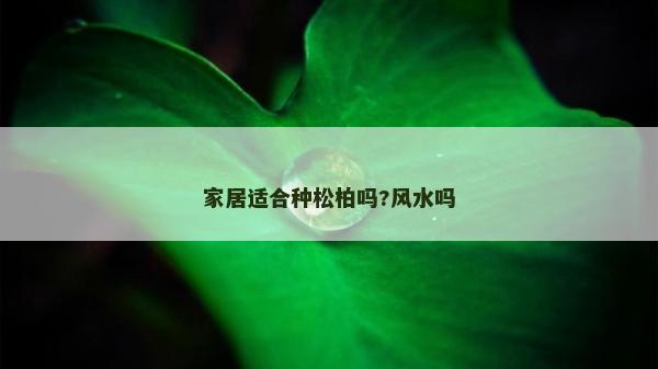 家居適合種松柏嗎?風(fēng)水嗎