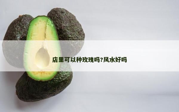 店里可以種玫瑰嗎?風水好嗎