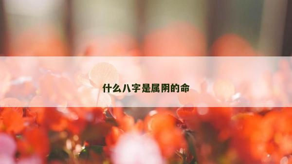 什么八字是屬陰的命