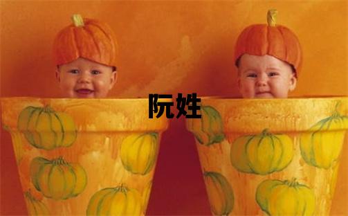 阮姓取名優美大方的男寶寶名字