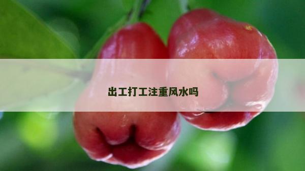 出工打工注重風水嗎
