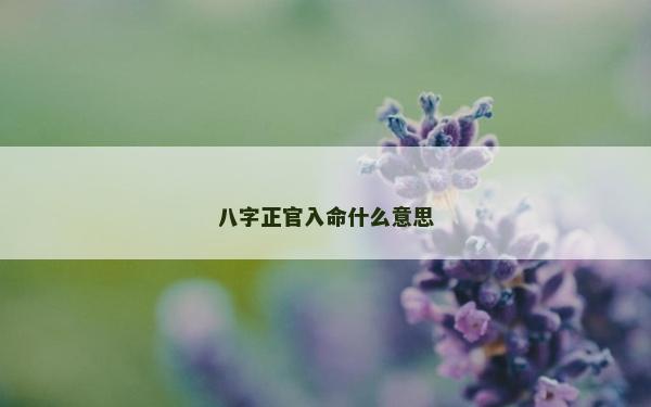 八字正官入命什么意思 八字正官入命什么意思