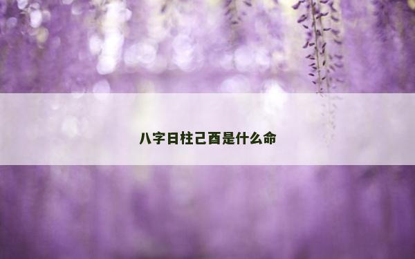 八字日柱己酉是什么命
