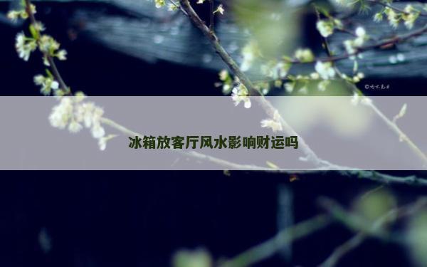 冰箱放客廳風水影響財運嗎