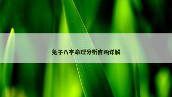 兔子八字命理分析吉兇詳解