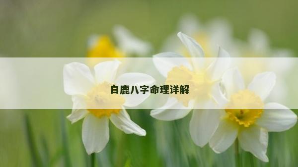 白鹿八字命理詳解