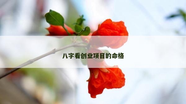 八字看創業項目的命格