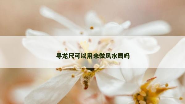 尋龍尺可以用來做風水局嗎