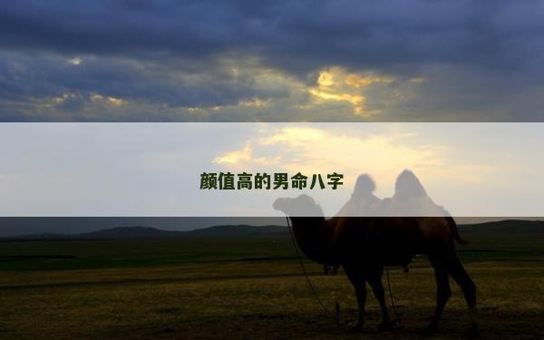 顏值高的男命八字