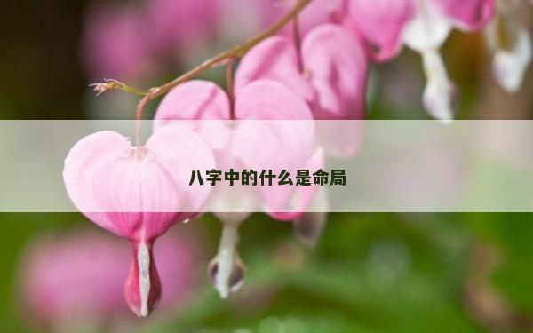 八字中的什么是命局