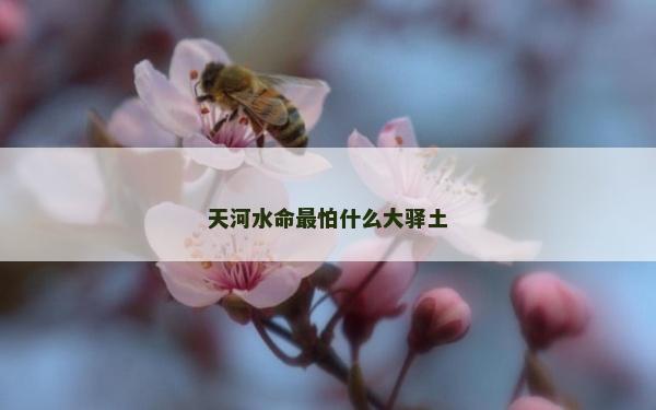 天河水命最怕什么大驛土
