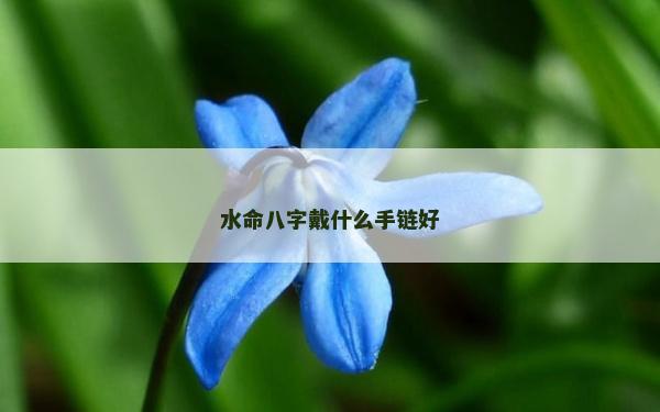 水命八字戴什么手鏈好