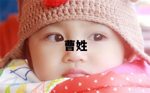 曹姓冷門獨特的男孩名字