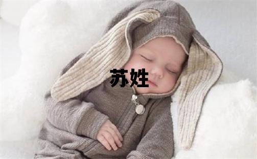 蘇姓取名冷門獨(dú)特的女寶寶名字