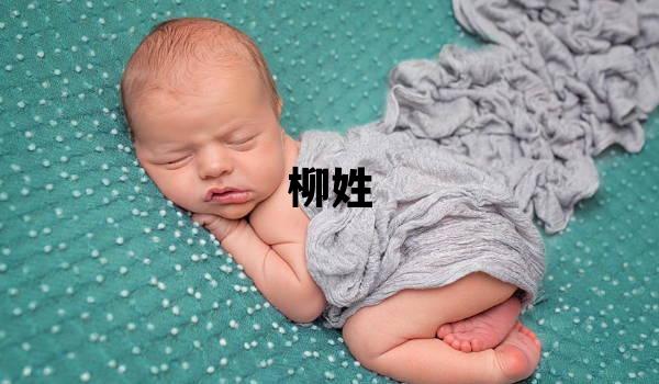 柳姓有氣質的女孩名字,取什么名字好
