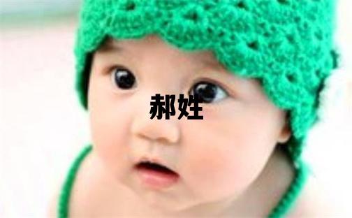 郝姓有氣質的男寶寶名字