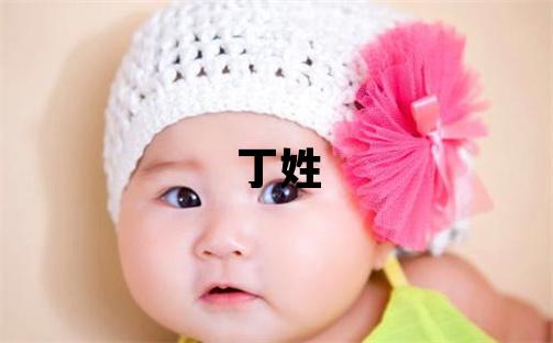丁姓有涵養的男孩名字,取什么名字好