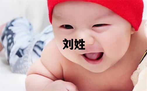 劉姓取名洋氣的男寶寶名字
