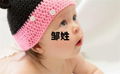 鄒姓有智慧才氣的男孩名字,取什么名字好