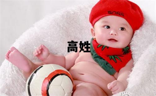 高姓吉利的男寶寶名字