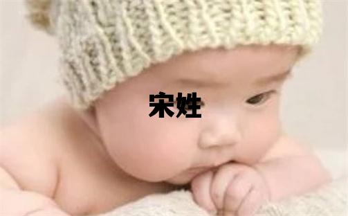 宋姓取名有創(chuàng)意的男寶寶名字