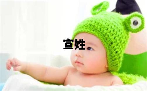 宣姓取名有氣質的男寶寶名字