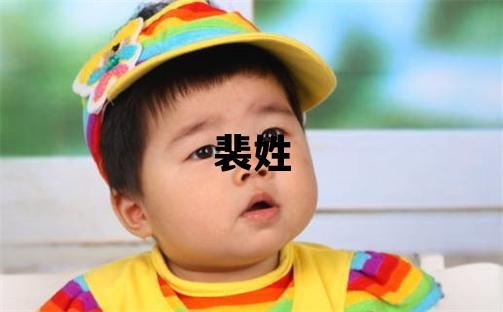 裴姓大氣文雅的男寶寶名字
